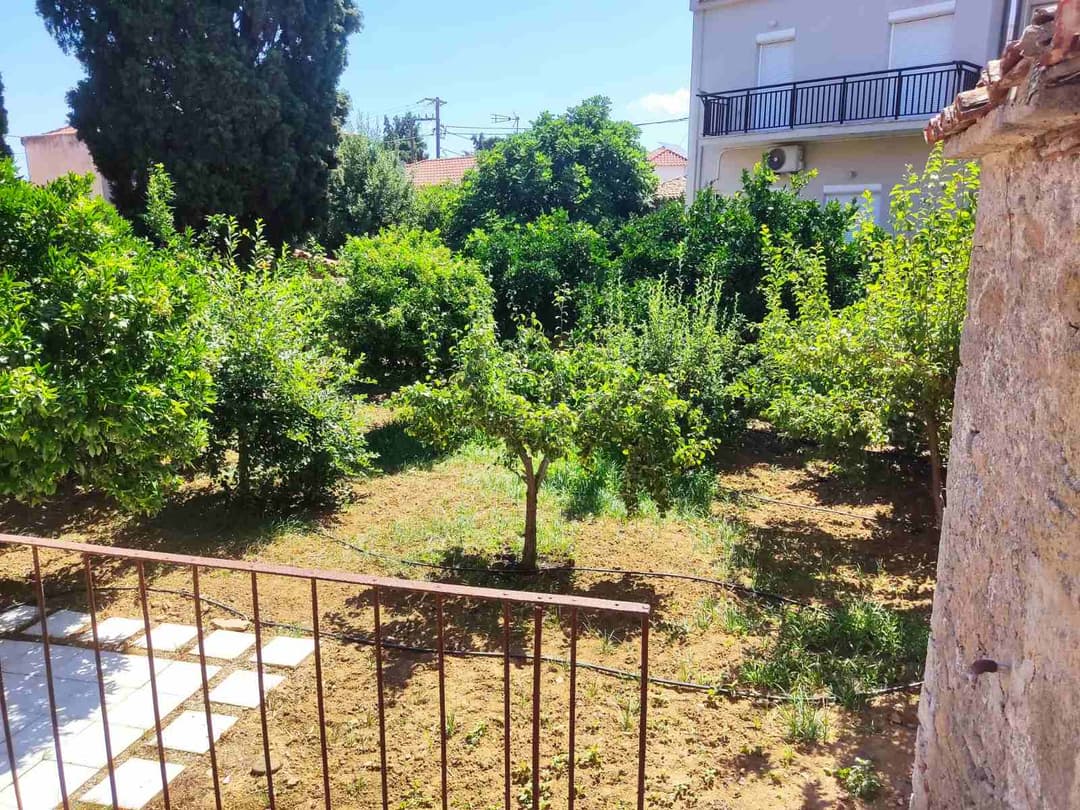 KONTIAS LEMNOS – TRADITIONELLES HERRENHAUS - 101010 6